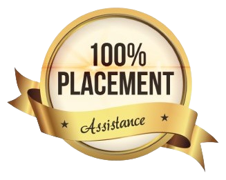 100% Placement Icon